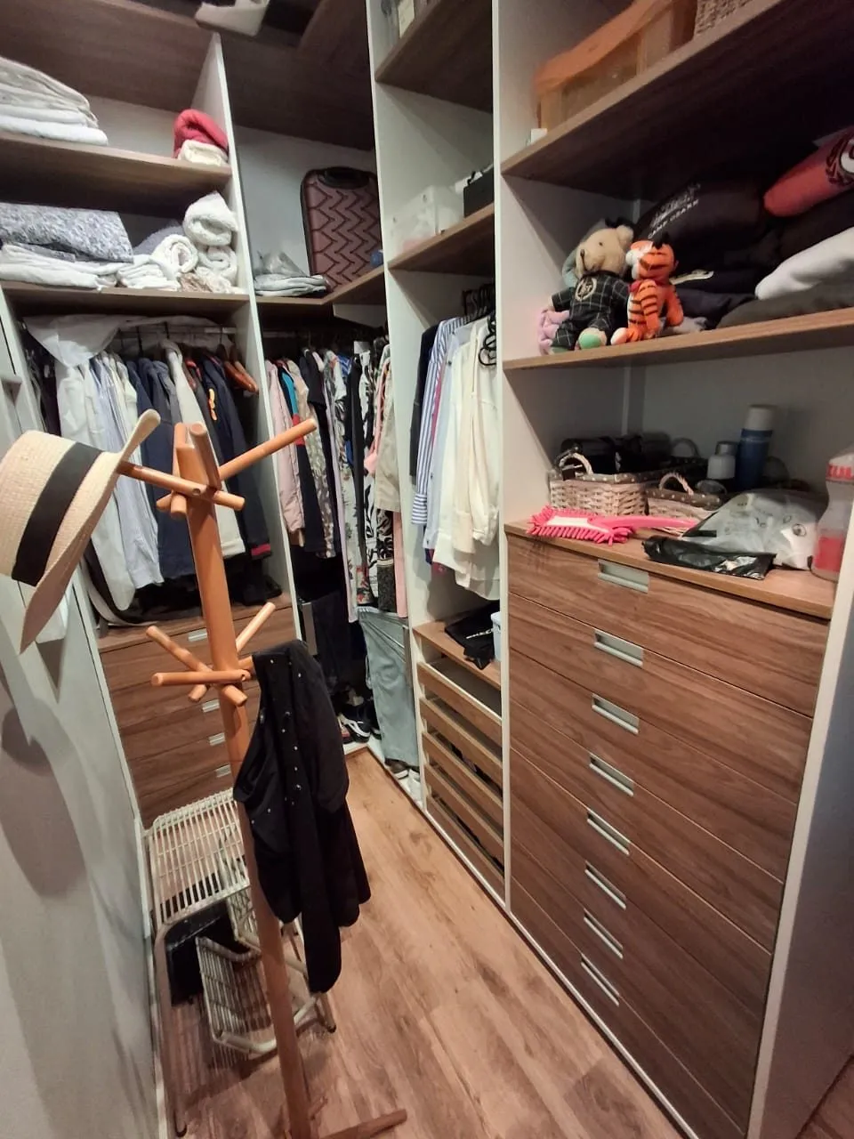 WhatsApp Image 2026-03-31 at 17.26.49 (1)